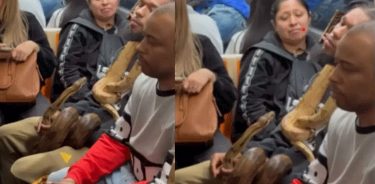 Viral video: Man carries live snakes inside metro