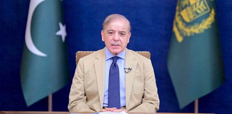 PM Shehbaz Sharif forms 19-member education task force