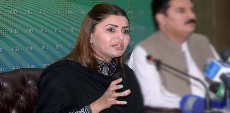 PPP blasts PML-N govt on constitution of maritime body