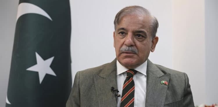 PM Shehbaz okays Pakistan-China JV project for industry relocation