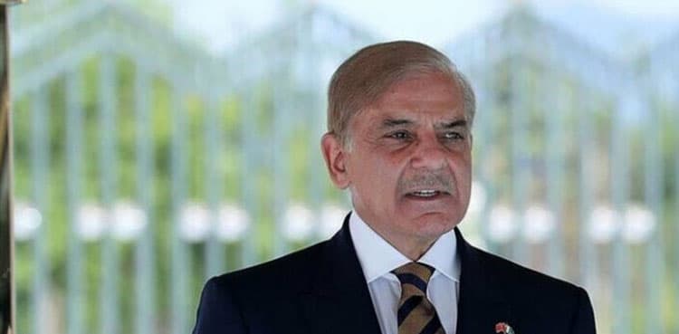 Govt committed to provide low-cost electricity: PM Shehbaz
