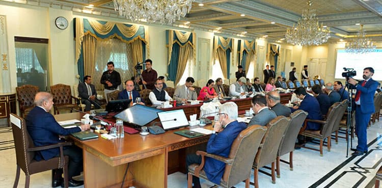 Federal Cabinet okays privatisation of 13 power division entities