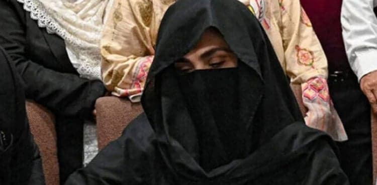 'Separate kitchen, room cooler': Court informed on Bushra Bibi's jail facilities