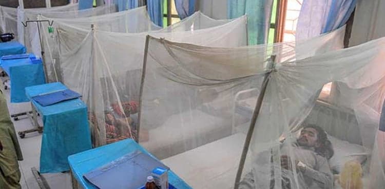 Mosquito nets worth Rs 300m 'stolen' from govt's warehouse