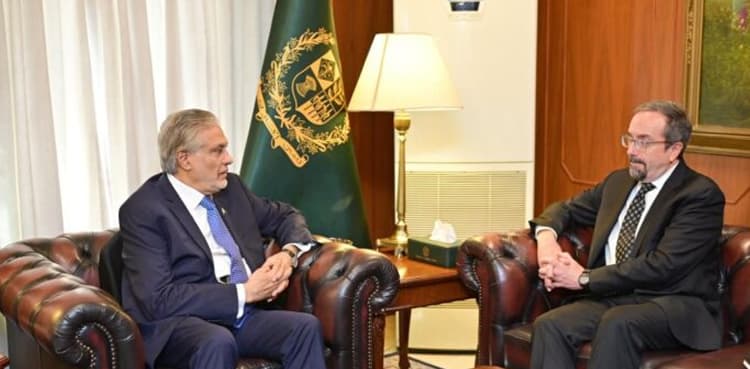 US Under Secretary of State calls on DPM Ishaq Dar