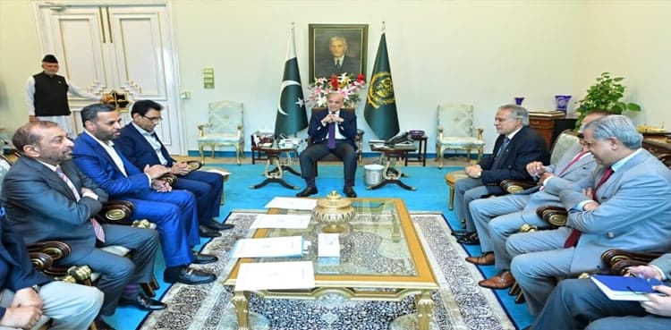 PM Shehbaz assures MQM-P of considering constitutional amendments