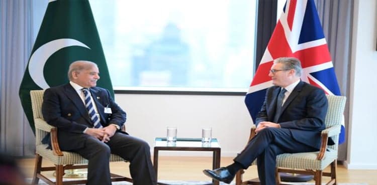 PM Shehbaz meets UK counterpart, Iranian president