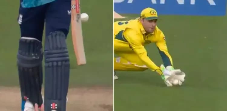 WATCH: Lord's crowd boos Australia wicketkeeper for claiming bounce-catch