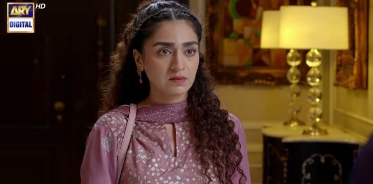 If not Sumbul, Hajra Yamin would love to play THIS character in 'Noor Jahan'