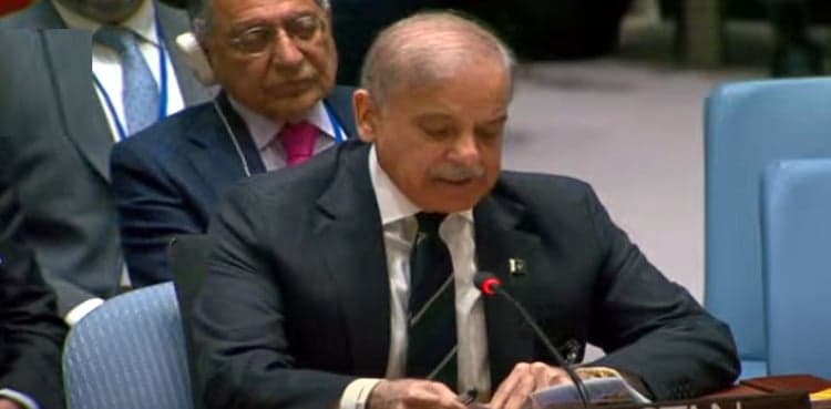 PM Sharif urges UN to take action against Israel's genocidal acts