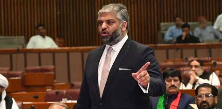 PTI's Zain Qureshi says he disappeared on father's advice