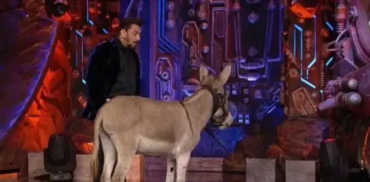 Salman Khan’s Bigg Boss 18 in trouble over featuring donkey in show