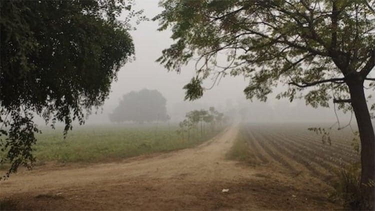 Lahore’s Smog: With the Sun Out, the Government Lifts Restrictions