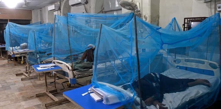 Govt caps dengue test fee at Rs1,500, warns hospitals against overcharging