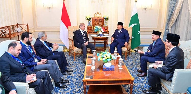 Pakistan, Indonesia agree to strengthen economic, trade ties