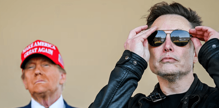 Trump sides with Elon Musk in H-1B visa debate, says he's always been in favor of the program