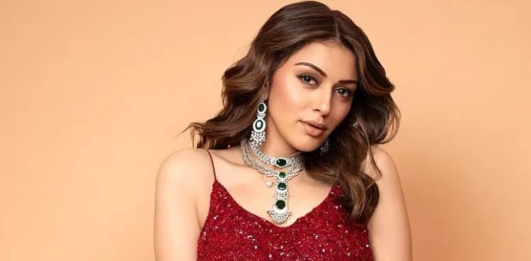 Hansika Motwani, family accused of domestic violence; FIR filed