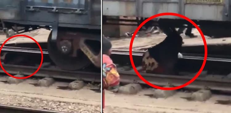 Watch: Woman escapes death as train passes over her