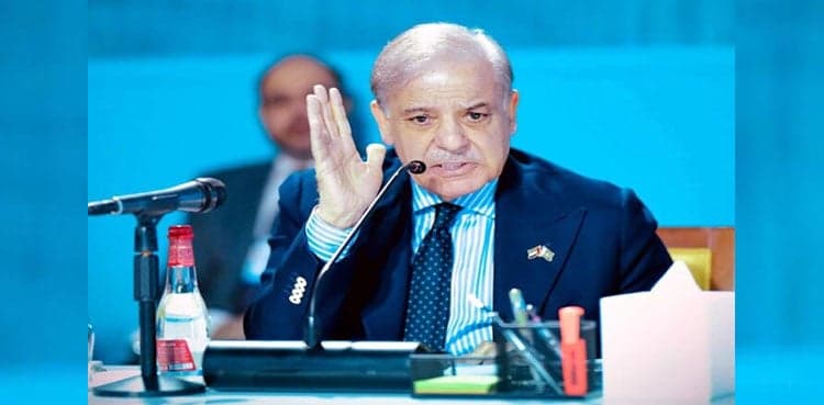 PM Shehbaz urges strengthening climate financing in his address to WGS