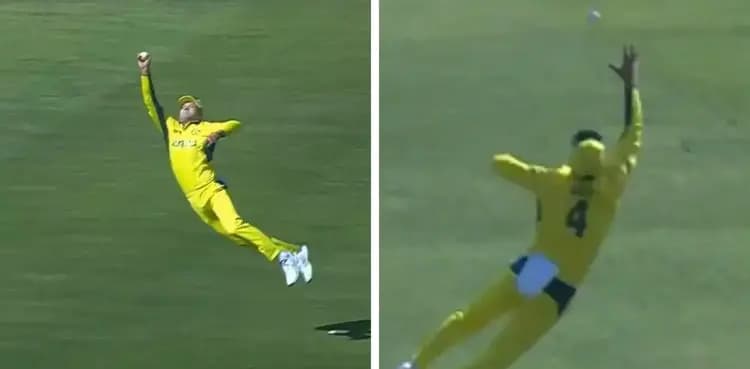 WATCH: Alex Carey takes one-handed stunner to dismiss Phil Salt