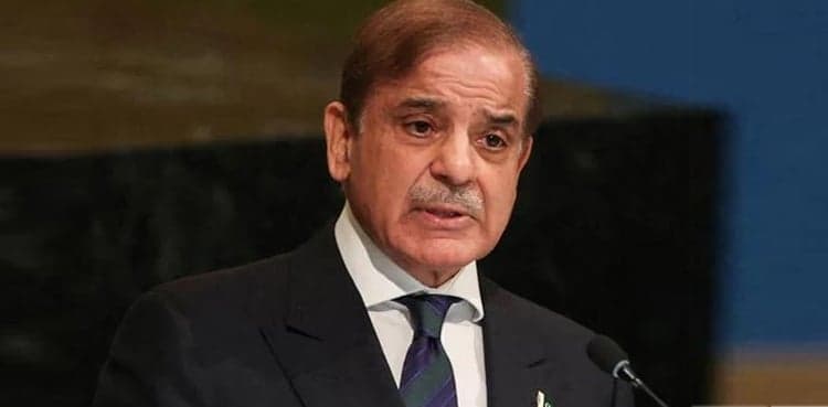 Pakistanis killings: PM Shehbaz asks Iranian govt to punish culprits