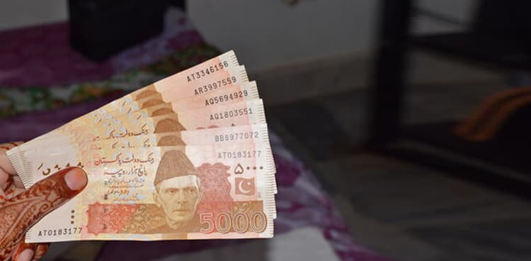 Ramadan Relief Package: Families to get Rs 12,500 under new programme