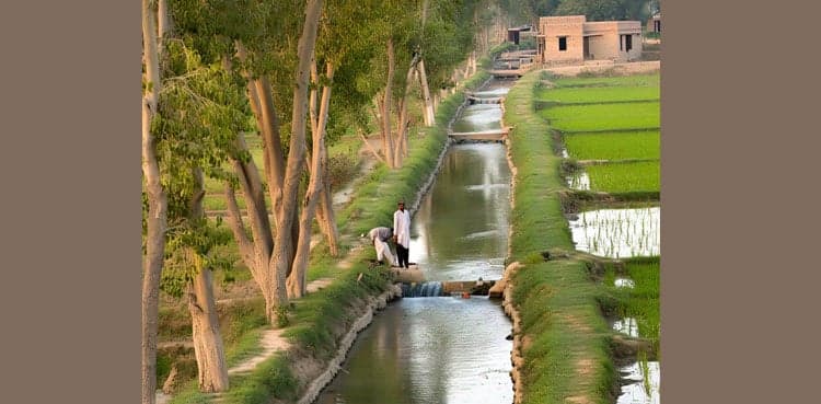 Agriculture sector in Pakistan and budget allocations
