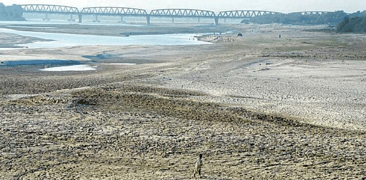 Sindh Agriculture Department cancels staff leave amid flood threat