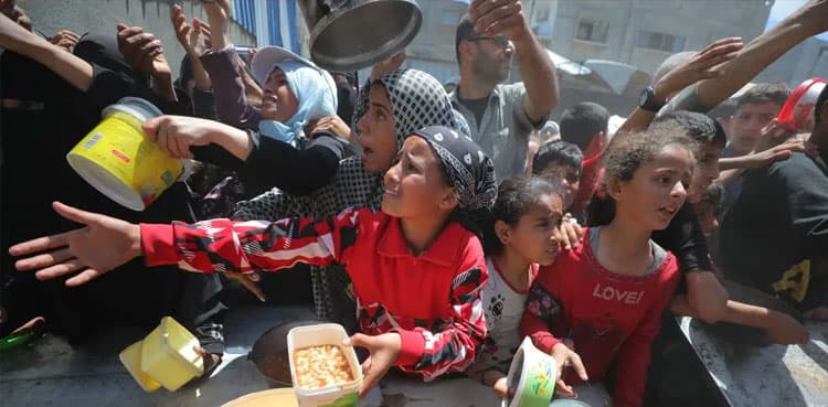 MSF says Israel has 'manufactured malnutrition crisis' in Gaza