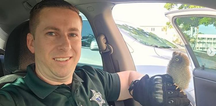 Baby screech owl rescued from parking Lot