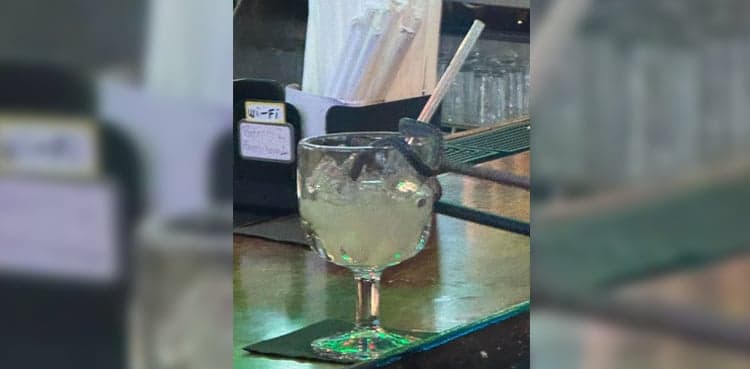 Snake falls into woman's lime juice, leaves her stunned
