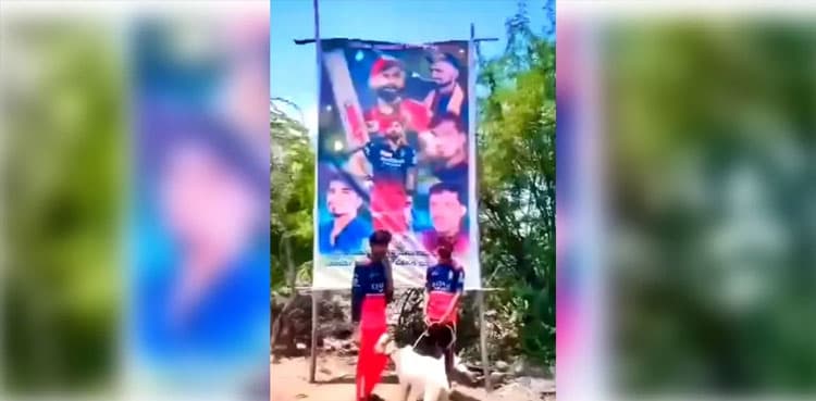 RCB fans arrested for slaughtering goat in Virat Kohli's name