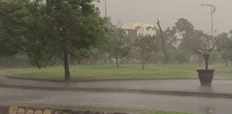 8 dead, 45 injured in Punjab storm: PDMA