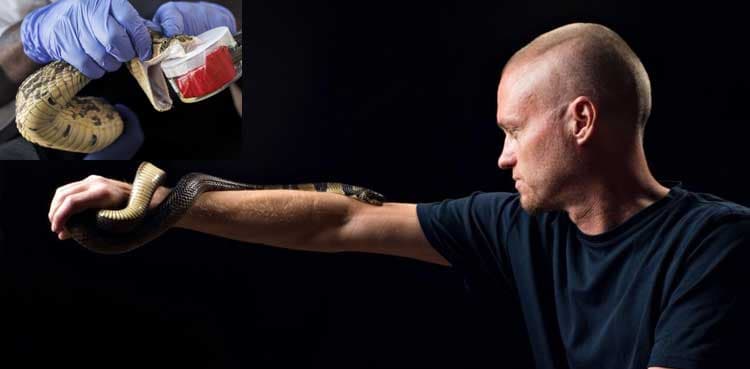 Man who let snakes bite him 200 times spurs new antivenom hope