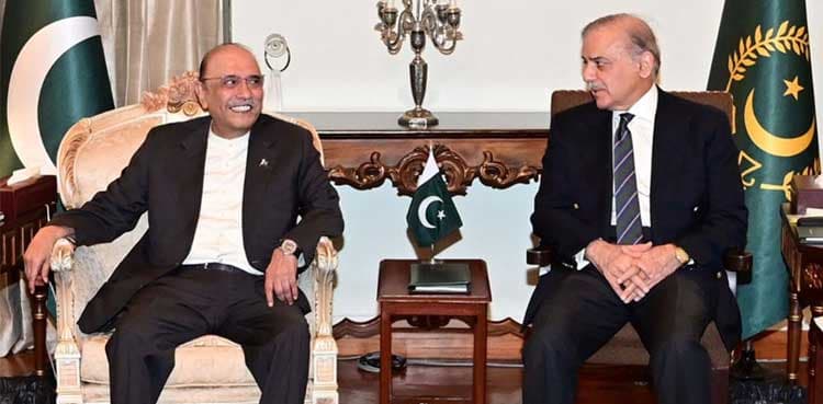 PM Shehbaz, President Zardari discuss budget 2025-26