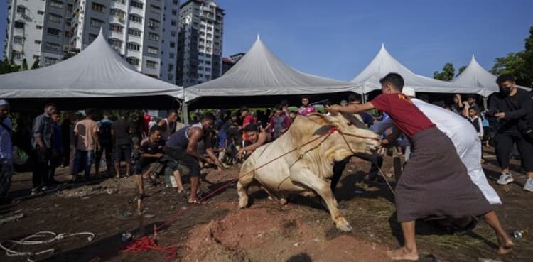 Indian politician's statement erupts animal sacrifice controversy on Eid ul Adha
