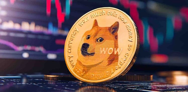 DOGE to PKR: Conversion Rate; July 30, 2025
