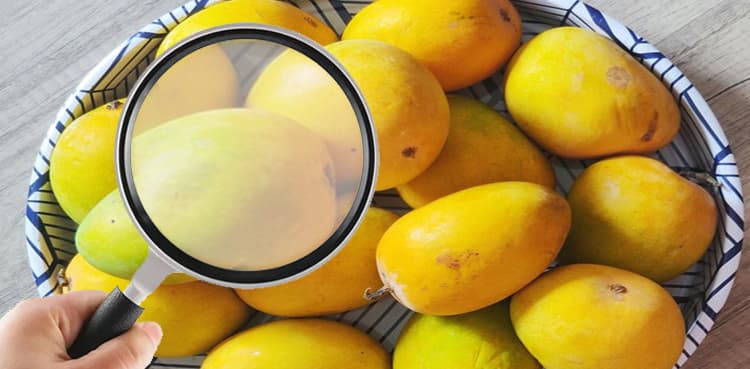 How to Identify Natural vs. Chemically Ripened Mangoes