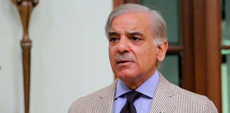 Saaf Pani scam: Red warrants for PM Shehbaz’s daughter, son-in-law suspended
