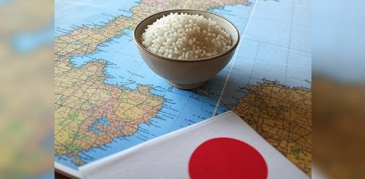 Japan rice auction 2025 starts to stabilise surge prices