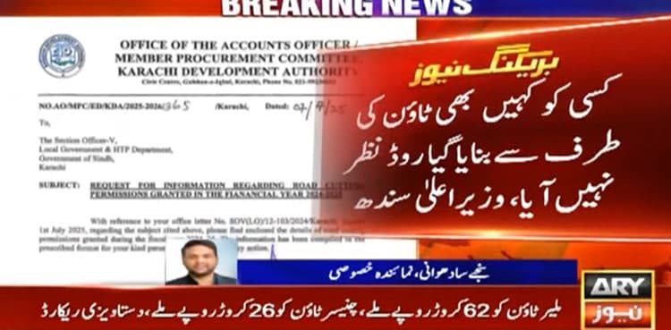 Sindh govt to audit Karachi towns over road cutting expenditure