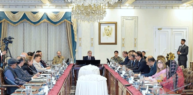 PM Shehbaz announces cabinet’s one-month salary for KP flood victims
