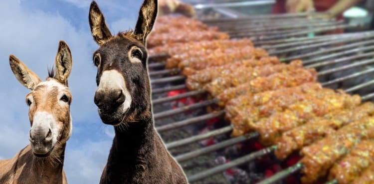 Donkey meat on the menu? This restaurant’s viral video has people guessing