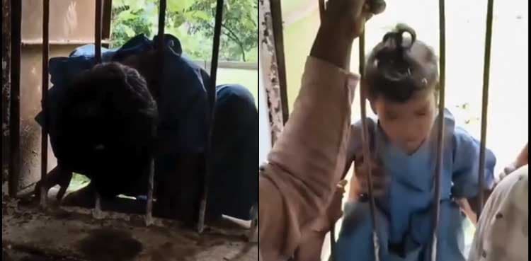 Student trapped overnight in school with head stuck in window railing