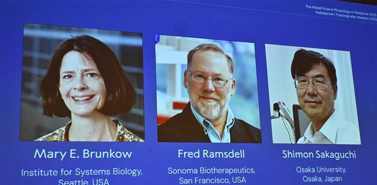 US-Japanese trio win medicine Nobel for immune system research