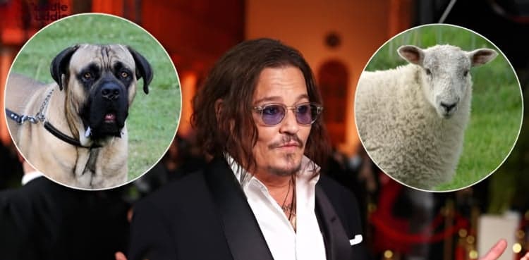 Johnny Depp in trouble after his dog's killing spree