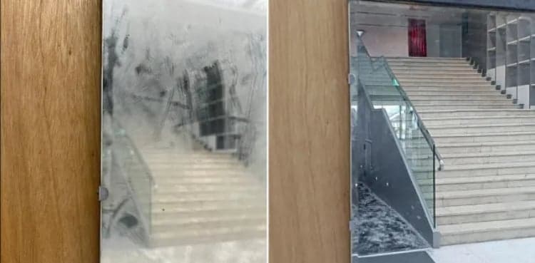 Viral: 40 years of artistic dust wiped away by museum volunteer