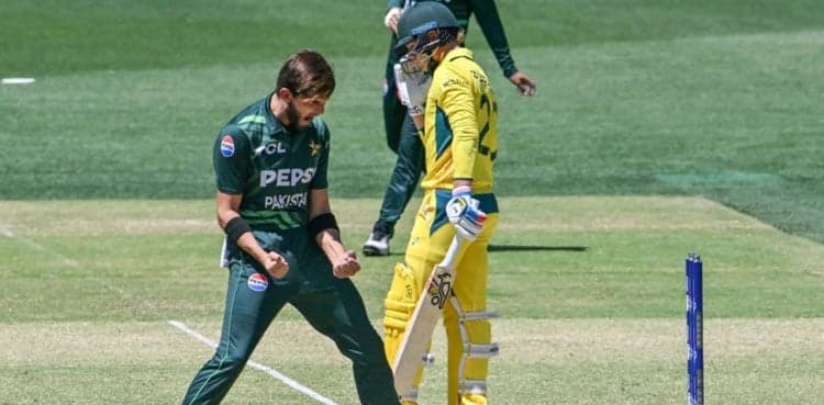 Pakistan to host Australia for three one-day internationals