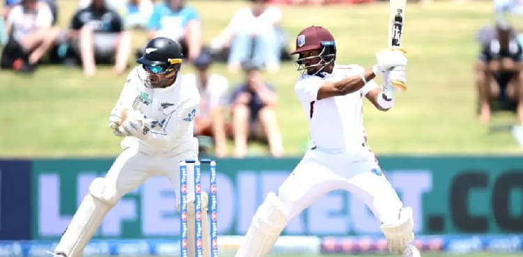 Dogged Hodge ton sees West Indies save follow-on against New Zealand