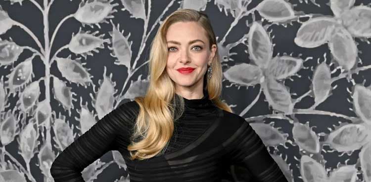 Amanda Seyfried reflects on her Mamma Mia character through as a mother